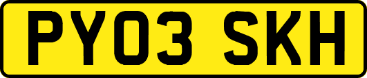 PY03SKH