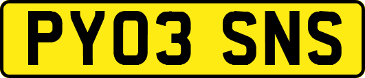PY03SNS
