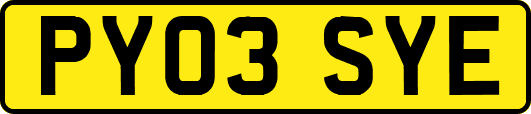 PY03SYE