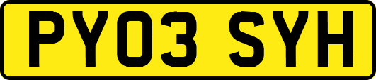 PY03SYH