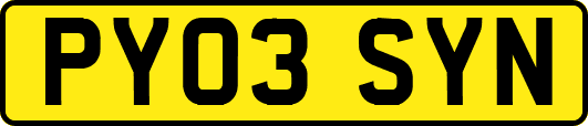 PY03SYN