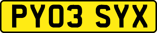 PY03SYX