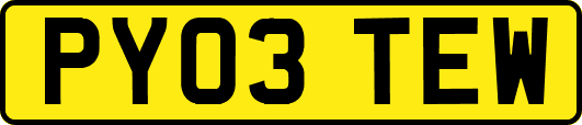 PY03TEW