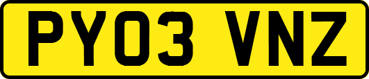 PY03VNZ