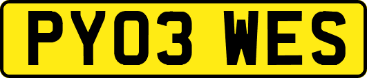PY03WES