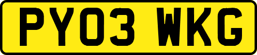 PY03WKG