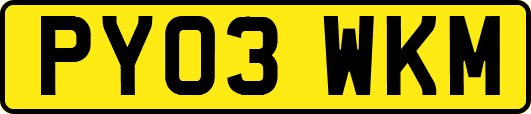 PY03WKM