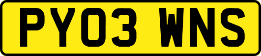 PY03WNS