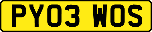 PY03WOS