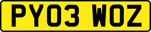 PY03WOZ