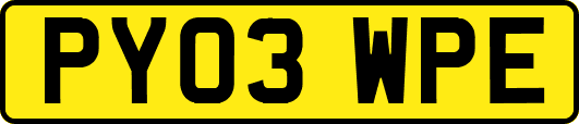 PY03WPE