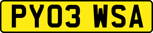 PY03WSA