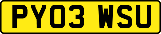 PY03WSU