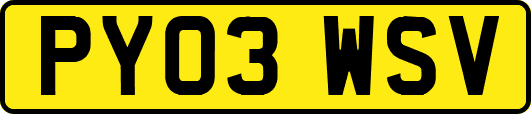 PY03WSV