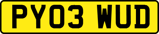 PY03WUD