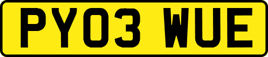 PY03WUE
