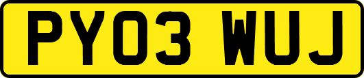 PY03WUJ