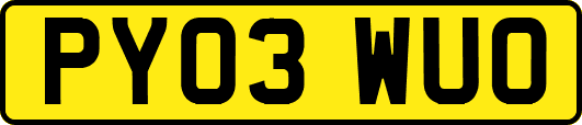PY03WUO