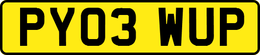 PY03WUP