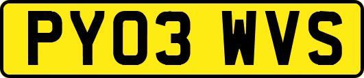 PY03WVS