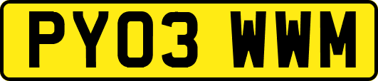PY03WWM