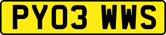 PY03WWS