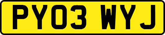 PY03WYJ