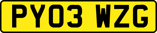 PY03WZG