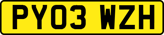 PY03WZH