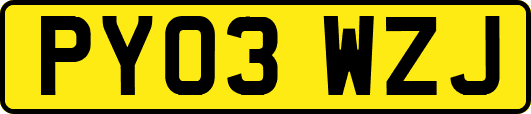 PY03WZJ