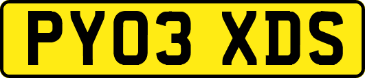 PY03XDS