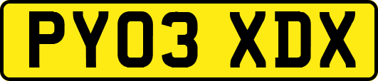 PY03XDX
