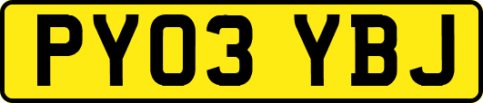 PY03YBJ
