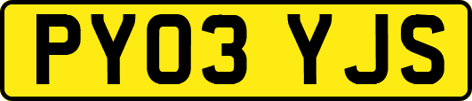 PY03YJS