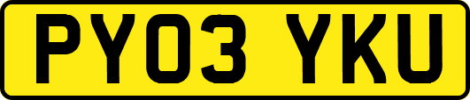 PY03YKU