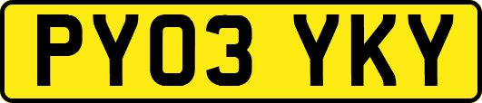 PY03YKY