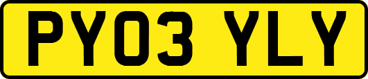 PY03YLY