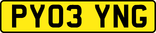 PY03YNG