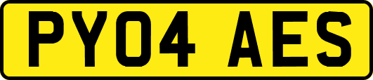 PY04AES