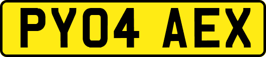 PY04AEX