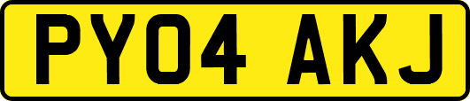 PY04AKJ