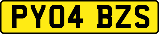 PY04BZS