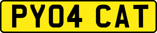PY04CAT