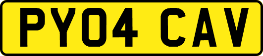 PY04CAV