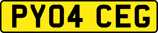 PY04CEG