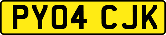 PY04CJK