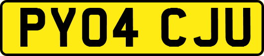 PY04CJU