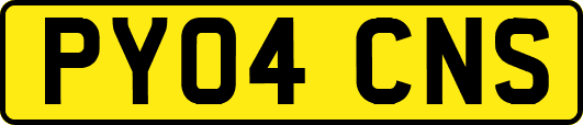 PY04CNS