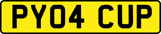 PY04CUP