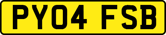PY04FSB